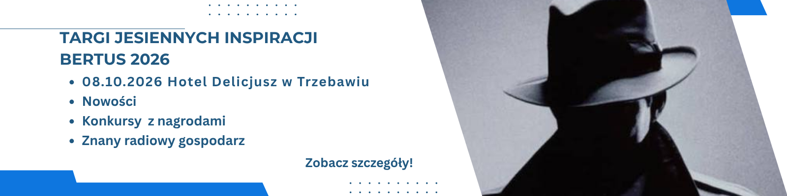 Baner strony głównej