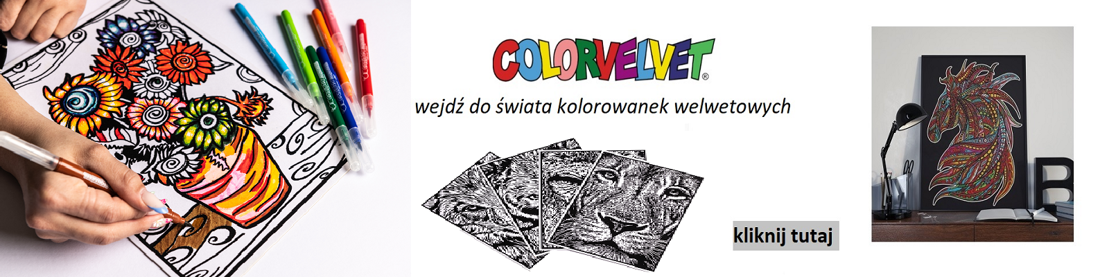 Baner strony głównej