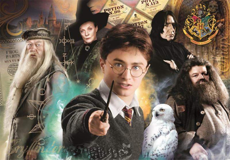 PUZZLE 500 COMPACT HARRY POTTER