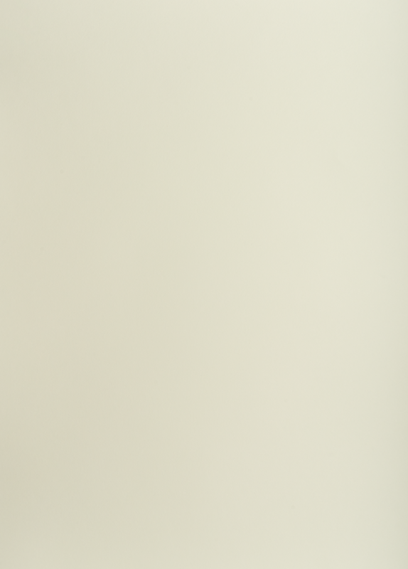 BRYSTOL B1 OXFORD JASNOSZARY 225G A25