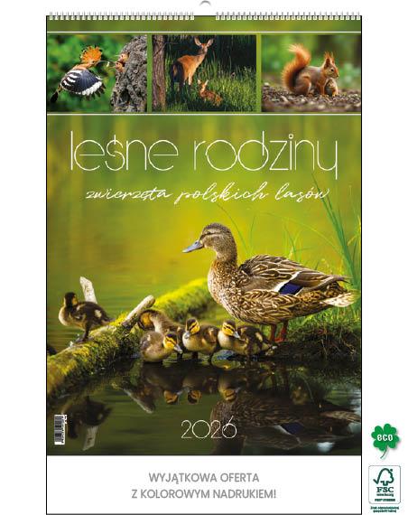 KALENDARZ WIELOPLANSZOWY LEŚNE RODZINY JOTAN STANDARD
