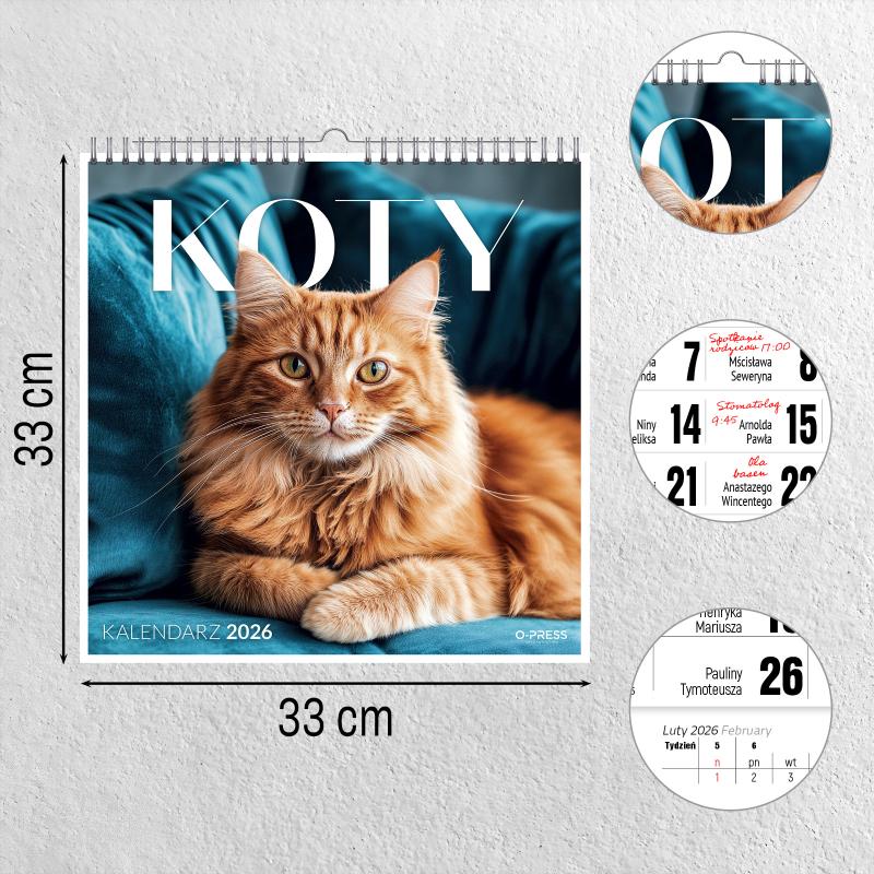 KALENDARZ ŚCIENNY 33X33 KOTY AREX SPIRALA