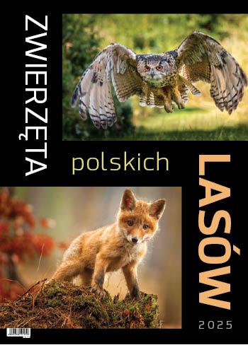 KALENDARZ WIELOPLANSZOWY ZWIERZĘTA POLSKICH LASÓW JOTAN STANDARD