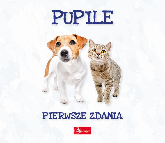 KSIĄŻECZKA PIERWSZE ZDANIA PUPILE