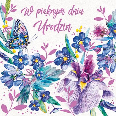 LAURKA KWADRAT POLMAK URODZINY