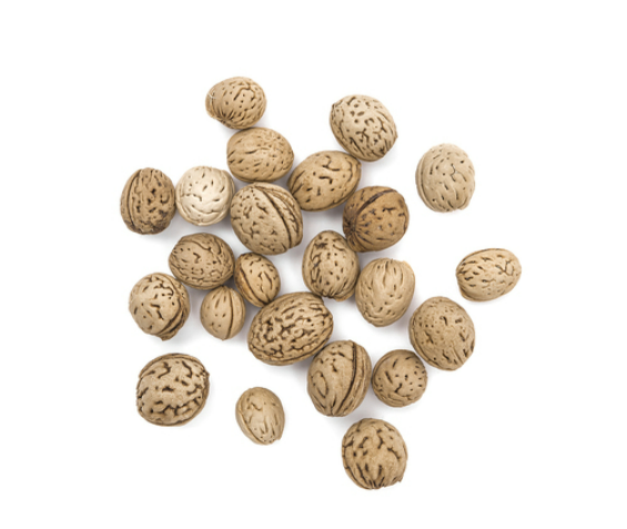 SUSZONE ORZECHY CARYA, 40G