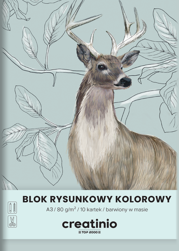BLOK RYSUNKOWY A3/10 KOLOR TOP CREATINIO 80G