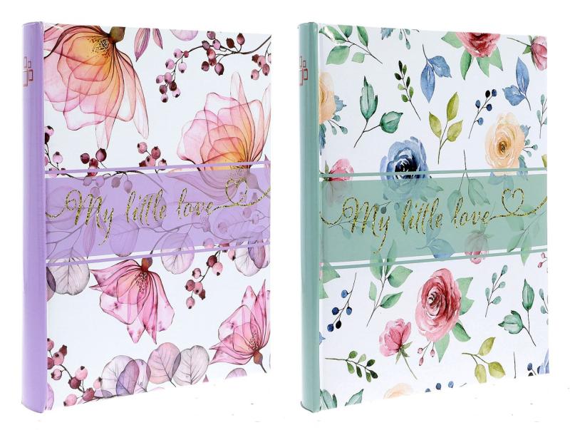 ALBUM 10X15/100 B46100/2S FLORID