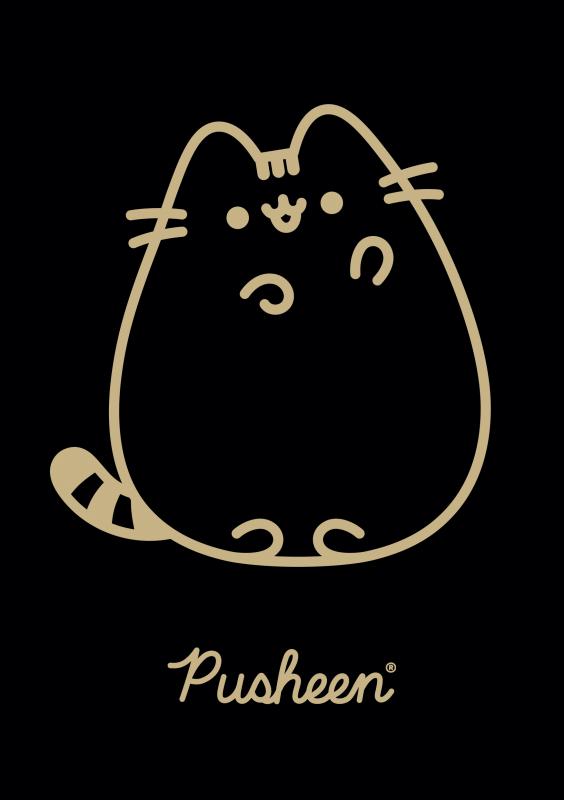 ZESZYT A5/60 # PUSHEEN LAMINAT