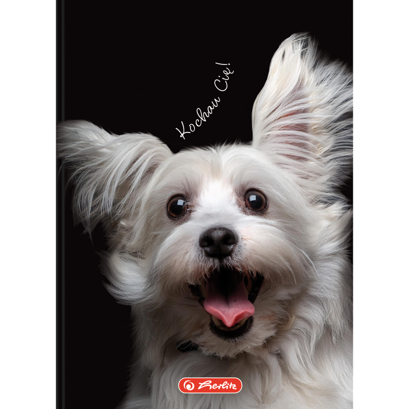 BRULION A6/80 # HERLITZ CRAZY ANIMALS 70G