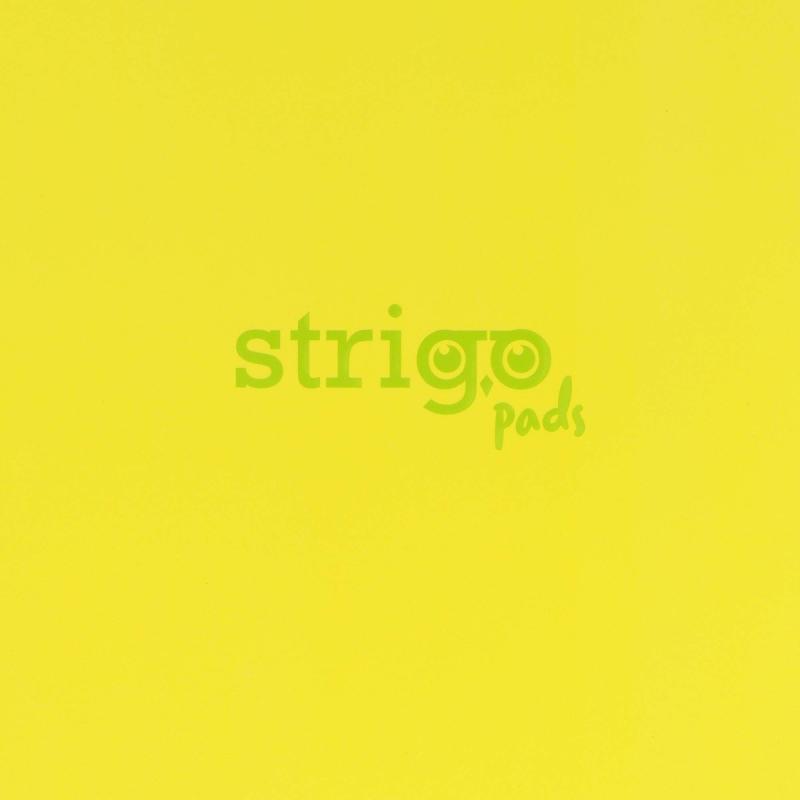KOŁOZESZYT B5/100# NEON ŻÓŁTY 80G STRIGO