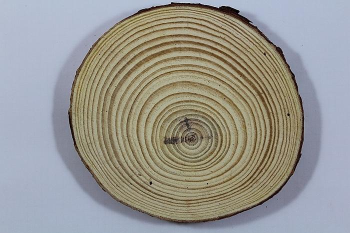 PLASTER DREWNA 15-16CM/1,5CM
