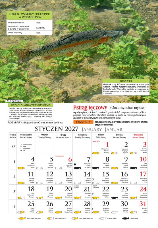 KALENDARZ PLANSZOWY 13 K.BESKIDY WĘDKARSKI
