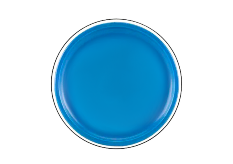 DYSK LATAJŚCY FRISBEE Z DINOZAUREM NIEBIESKI 20CM