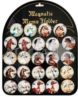 MAGNESY KONIE MG-0082 24SZT 1 BLACHA