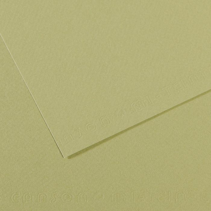 PAPIER PASTELOWY A4/25 480 LIGHT GREEN160G MI-TEINTES