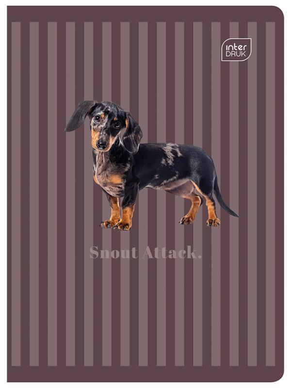 ZESZYT A5/60 # INTER PUPPY SING M 70G