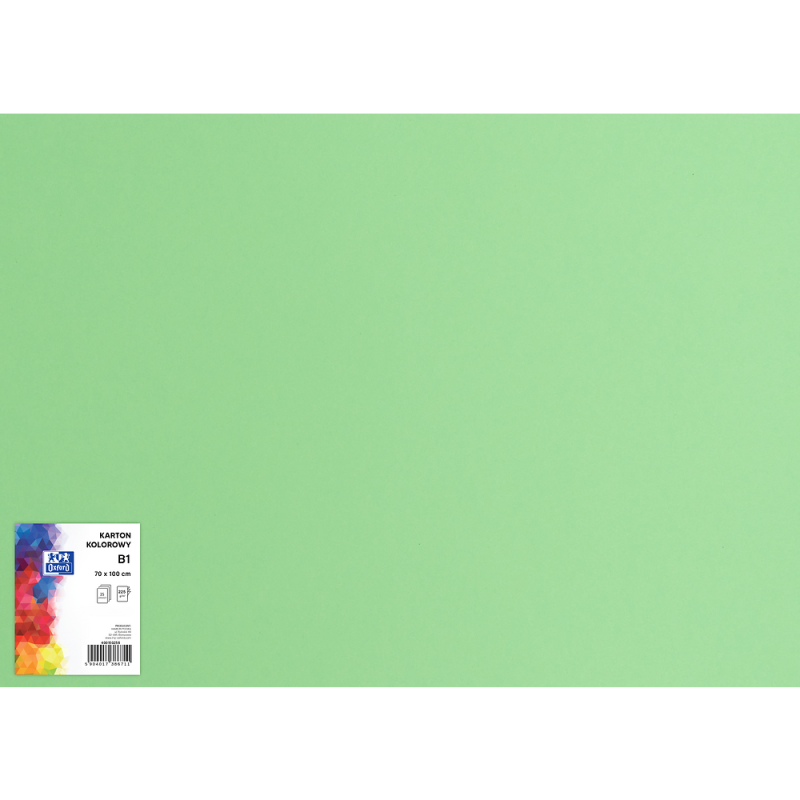 BRYSTOL B1 OXFORD GROSZKOWY 225G A25