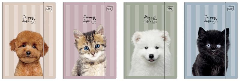 TECZKA Z GUMKĄ A4+ INTER PUPPY SING