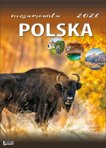KALENDARZ WIELOPLANSZOWY NIESAMOWITA POLSKA JOTAN STANDARD