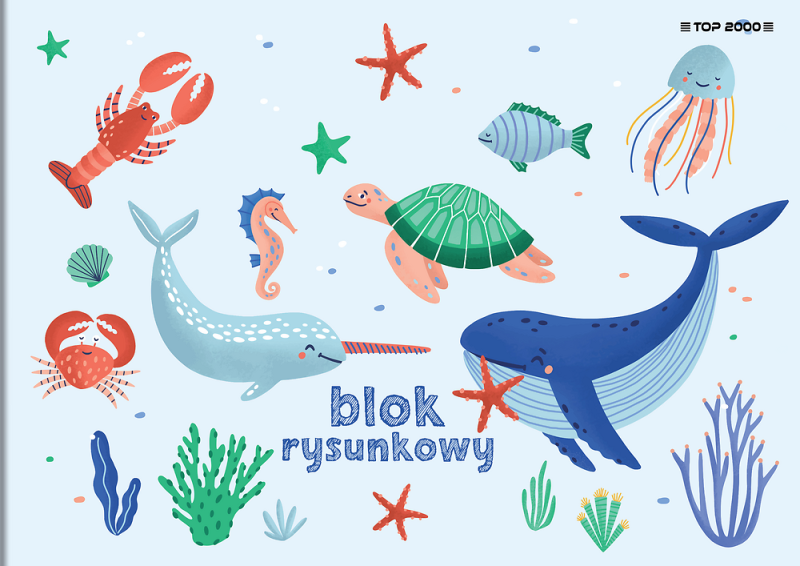 BLOK RYSUNKOWY A4/20 TOP BASIC 70G