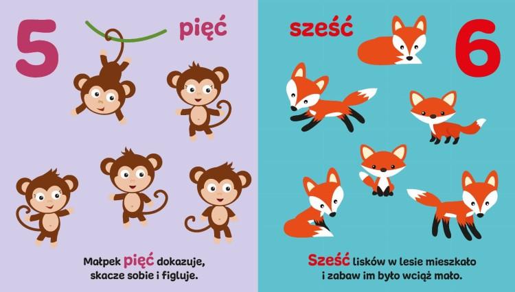 KSIĄŻECZKA LICZĘ SŁUCHAM POWTARZAM CYFERKI