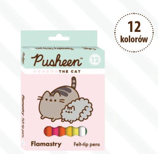 FLAMASTRY 12 KOL. PUSHEEN