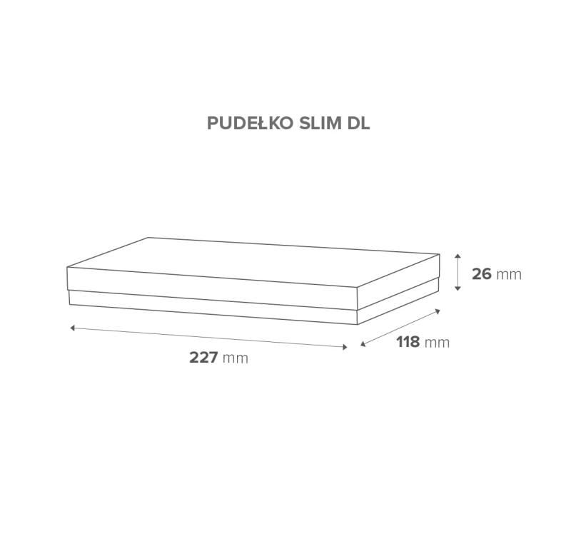 PUDEŁKO 225X175X40 KOTEK