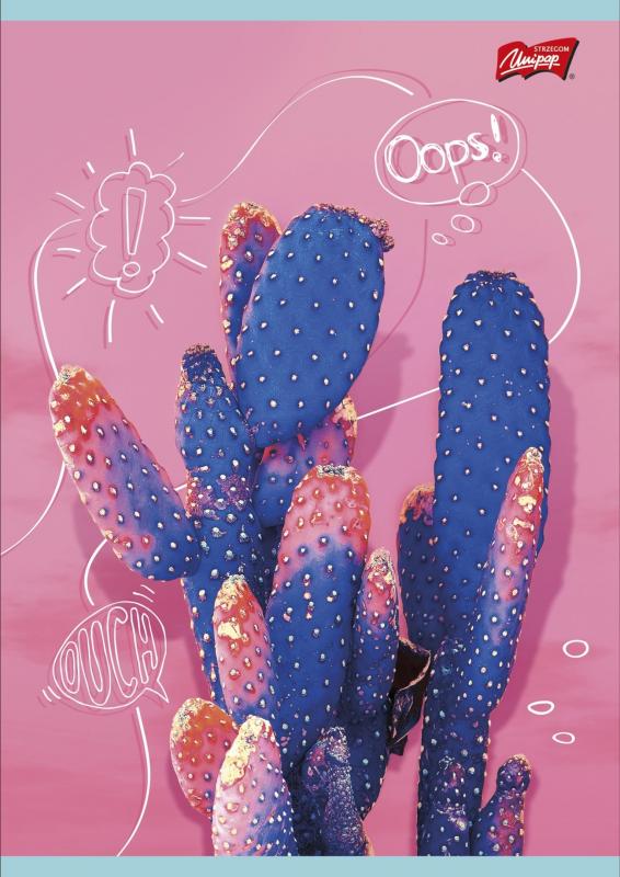 ZESZYT A4/60 # LAMIN.CACTI MAJEWSKI