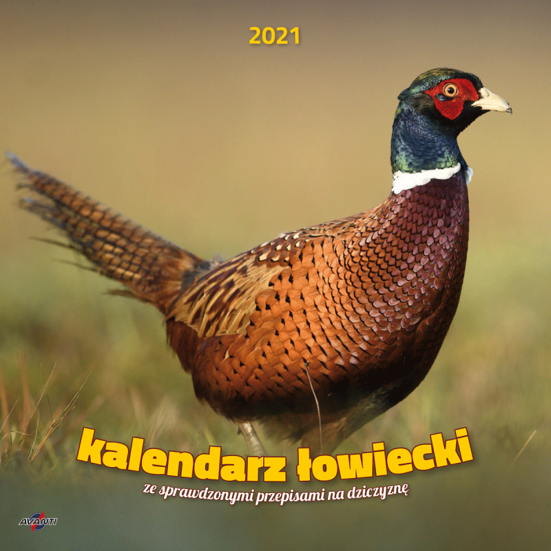 KALENDARZ ALBUMOWY DUŻY ŁOWIECKI 2027