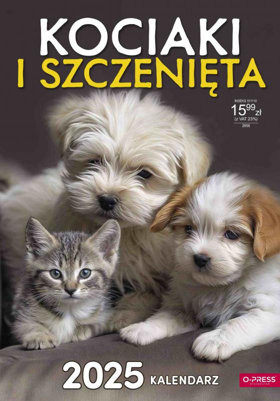 KALENDARZ ŚCIENNY A3 SPIRALA KOCIAKI I SZCZENIĘTA AREX