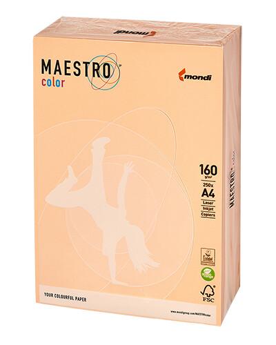 PAPIER KSERO A4 160G SA24 ŁOSOSIOWY