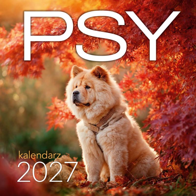 KALENDARZ KWADRAT PSY AREX