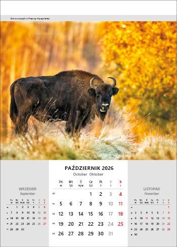 KALENDARZ WIELOPLANSZOWY NIESAMOWITA POLSKA JOTAN STANDARD