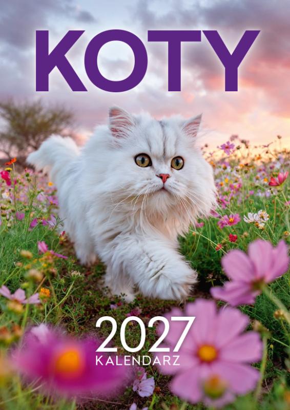 KALENDARZ ŚCIENNY A4 KOTY AREX