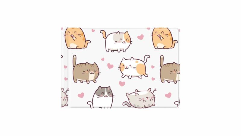 OKŁADKA NA DOKUMENTY UCZNIA MAŁE Z NADRUKIEM KITTENS