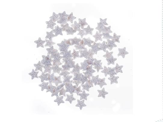 GWIAZDKI Z BROKATEM 1,1CM 96SZT BIAŁE #ŚWIĘTA