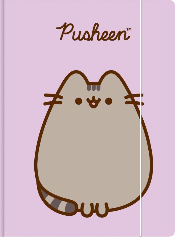 TECZKA Z GUMKĄ A4 300G PUSHEEN