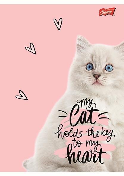 ZESZYT A5/60 # PURRFECT MOMENTS LAMINOWANY