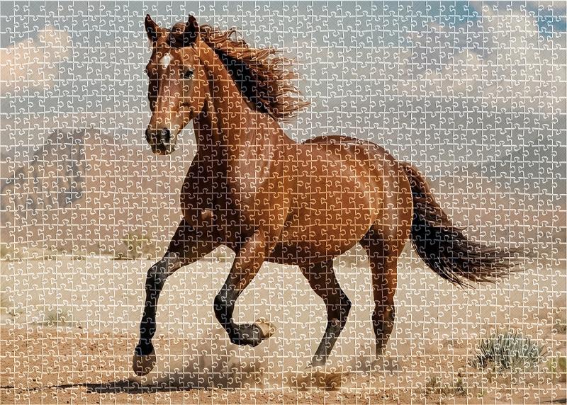 PUZZLE 1000 WILD HORSES 2