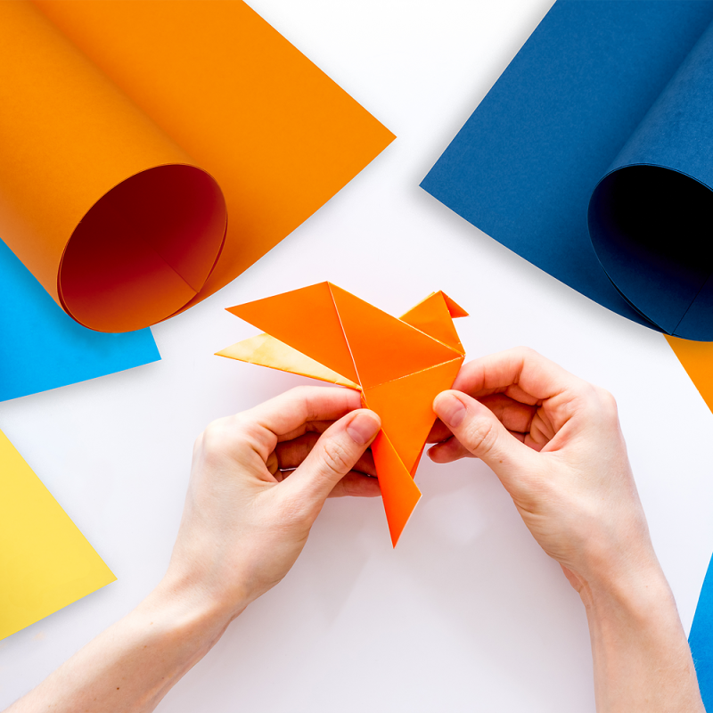 BRYSTOL B2 OXFORD BIAŁY 225G