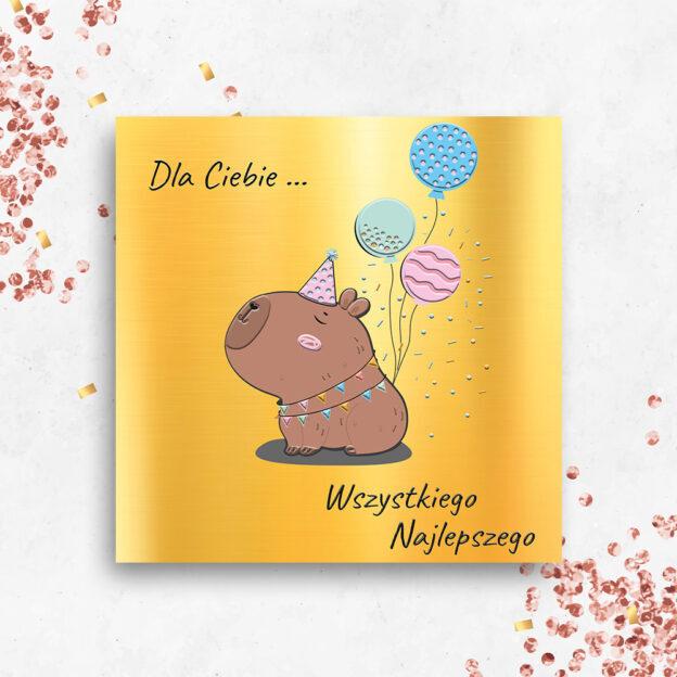 LAURKA KW KAPIBARA DLA CIEBIE