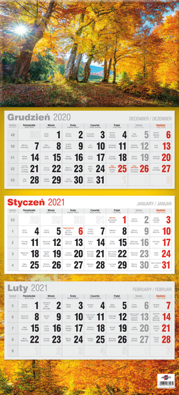 KALENDARZ TRÓJDZIELNY PŁASKI 2027