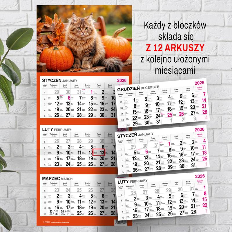 KALENDARZ TRÓJDZIELNY DUŻY AREX MIĘKKI
