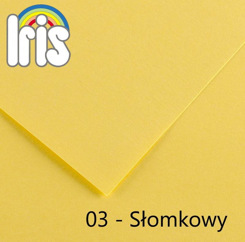 BRYSTOL B1 LYRA SŁOMKOWY A'25 240G