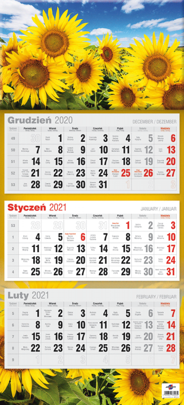 KALENDARZ TRÓJDZIELNY PŁASKI 2027