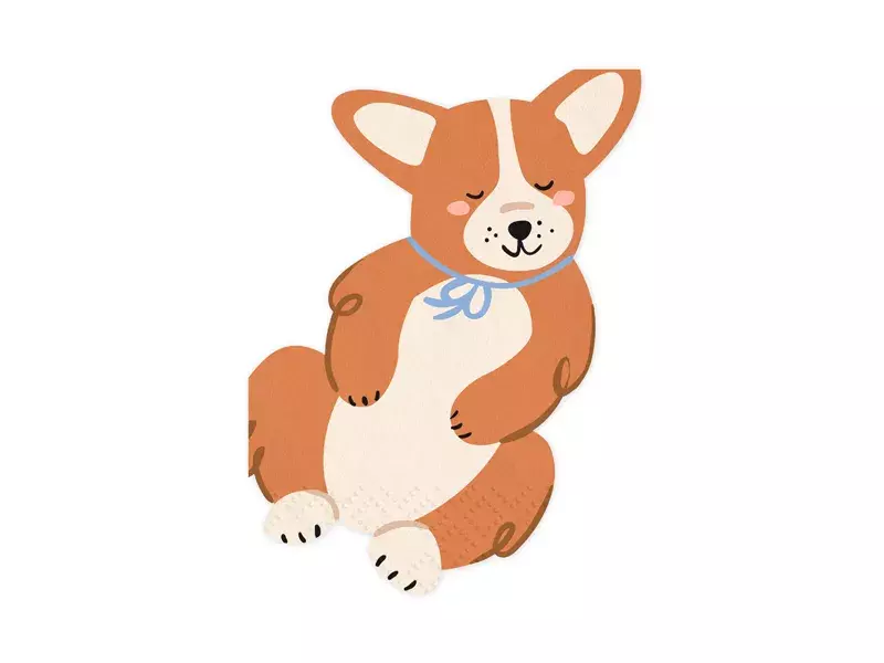 SERWETKI CORGI 11X15CM MIX