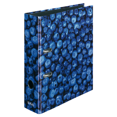 SEGREGATOR A4/8 HERLITZ JAGODA MAX.FILE PP