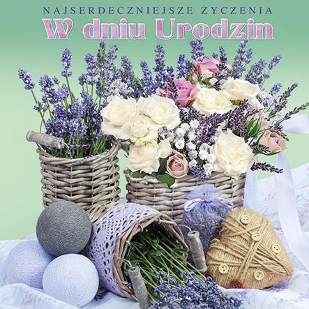 LAURKA KWADRAT POLMAK URODZINY