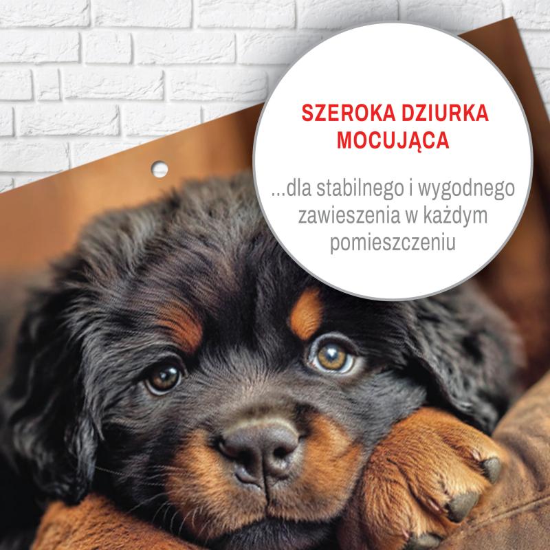KALENDARZ MIESIĘCZNY AREX